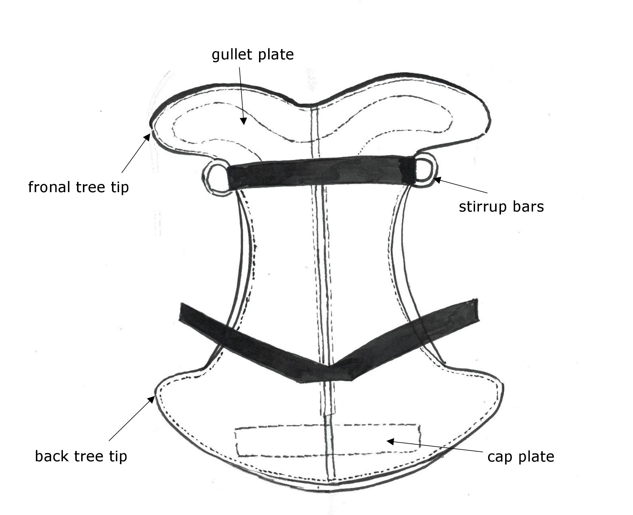Lederbaum Bezeichnung ENG