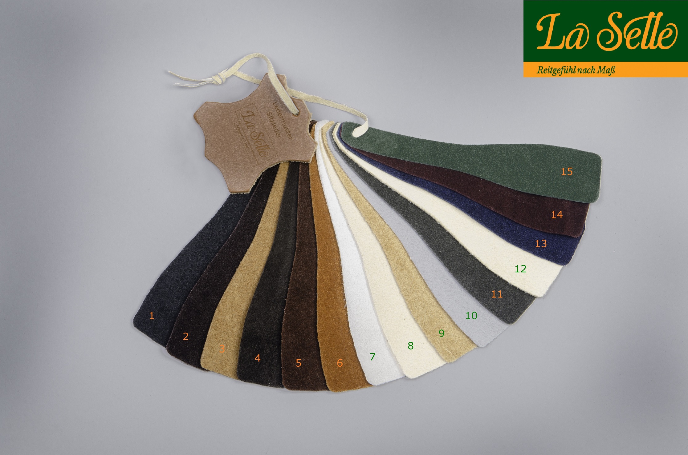 1912NEUSitzleder muster rau groß mit Logo mit Ziffern komprimiert