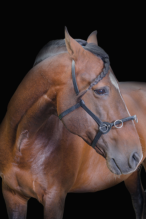 Kappzaum kleinXS ohne Logo andere seite